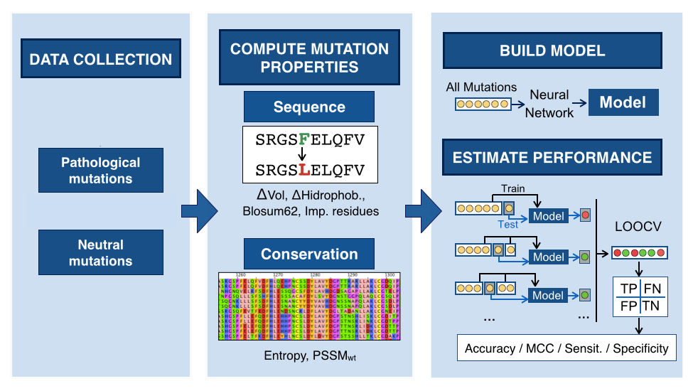 Predictor schema